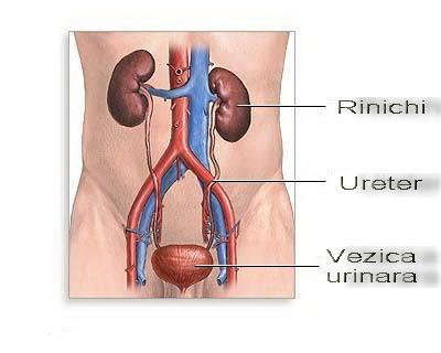 tratamentul viziunii urinei)
